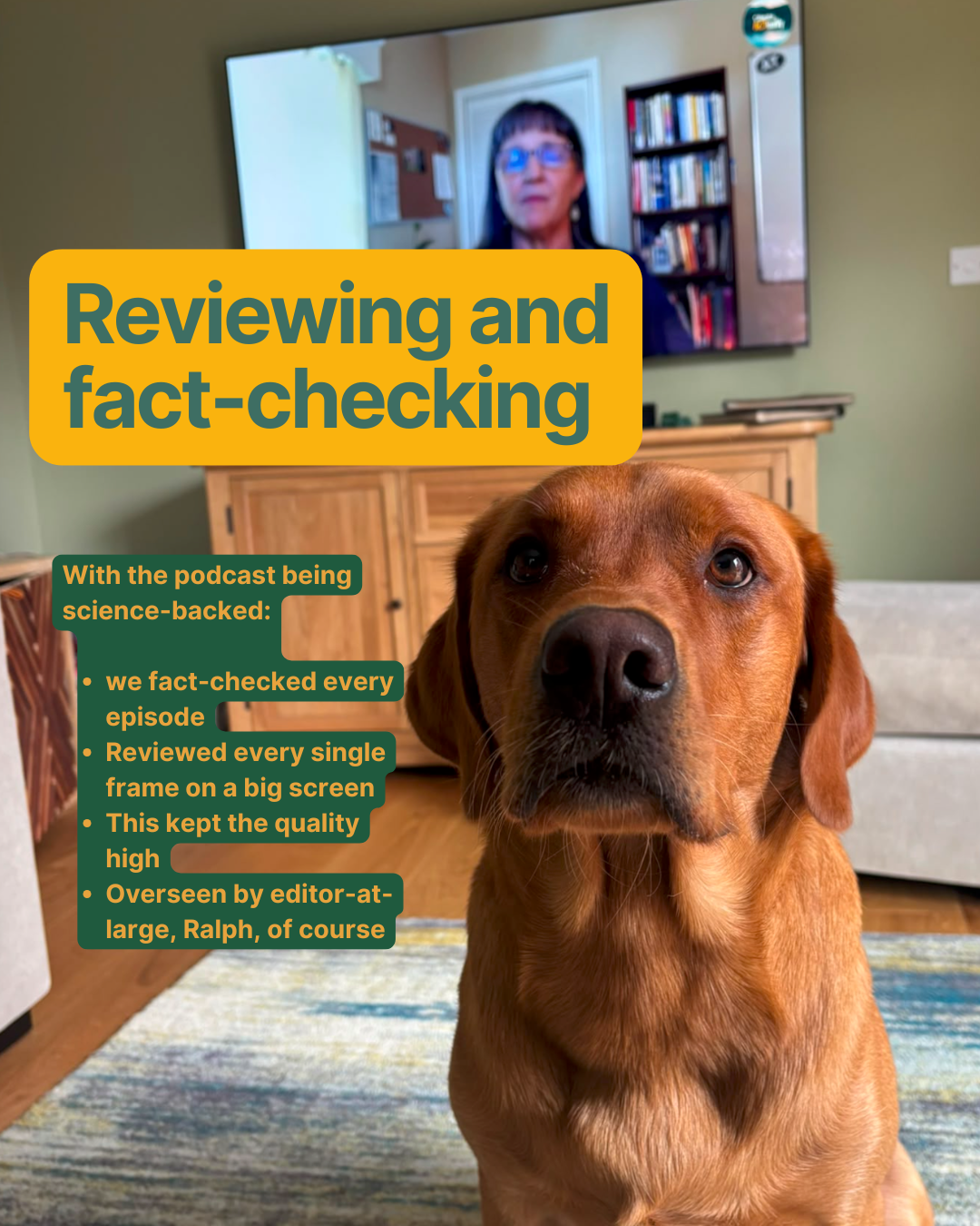 Fact-checking review call, dog in foreground